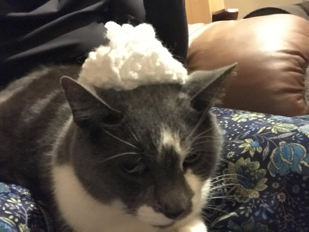 39D4A71F-7287-4E30-967A-D003B41C2BFA_1_105_c