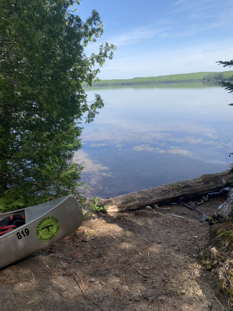 AF1E719D-34A4-416A-AA21-999BF512C3C9_1_105_c