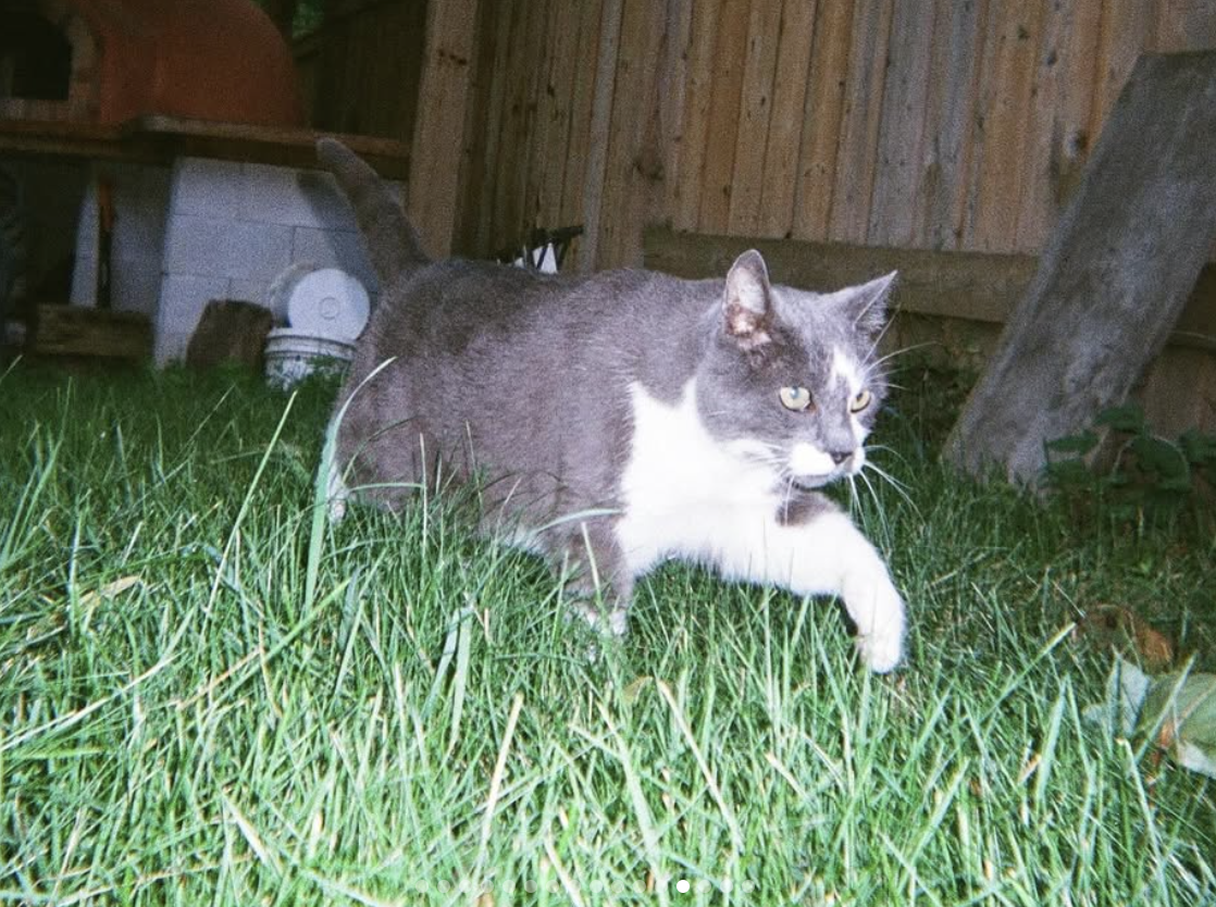 Screenshot 2026-01-02 at 7.02.30 PM